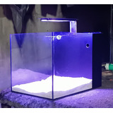 Pecera Acuario Back Sump 100 Litros