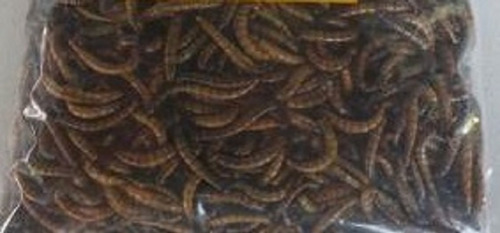 Tenébrios Gigantes Desidratados, Larvas(350 Un) Frete Grátis