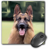 Mouse Pad Dibujo Pastor Aleman 8 X 8 Pulgadas