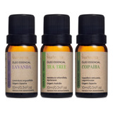 Kit 3 Óleo Essencial ( Lavanda + Tea Tree + Copaíba ) Puro