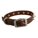 Collar Para Mascotas De Piel Con Picos Tibet 24 X 1pg