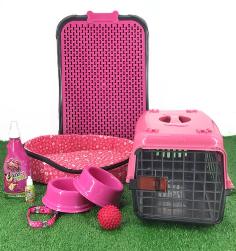 Kit Luxo Caminha Transporte Casinha Plástica Para Cães Peq