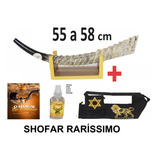 Shofar De Chifre Antilope - Waterbuck - Importardo De Israel