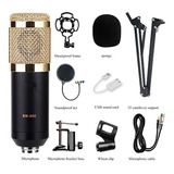 Kit Profesional Microfono Bm 800 Condensador 