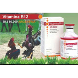 Vitamina B12 Argentina Para Galistas Galo Índio Combatente 