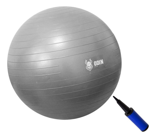Bola Yoga Suiça Pilates Abdominal Gym Ball 55cm Bomba Grátis Cor Cinza-claro