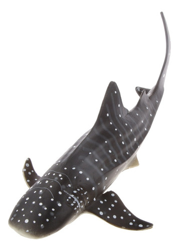 Modelo De Tiburón Ballena