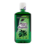 Shampoo Bergamota Organico Anticaida Y Cremiento+enviogratis