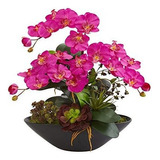 Orquidea Phalaenopsis Casi Natural Y Jardin Suculento Mixt