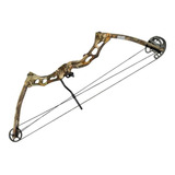 Arco Compuesto Predator Poe Lang 40-65 Lb 