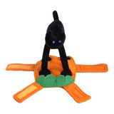 Pequeña Mascota De Gato Negro De Halloween Transformada En R