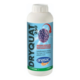 Sanitizador Dryquat 1 Lt (amonio Cuaternario) Anasac
