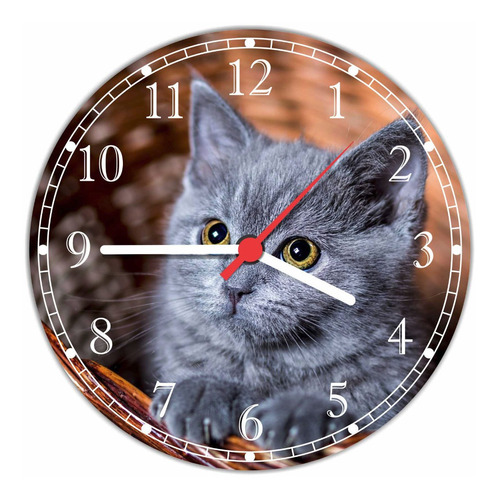 Relógio Parede Animais Gato Decorar Salas Pet Shop G