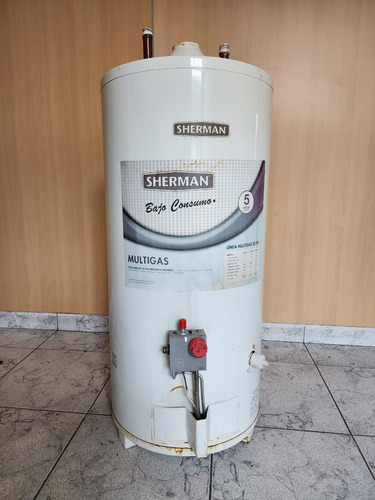 Termotanque A Gas 80l