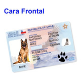 Plantilla Carnet De Mascotas Editable (psd)