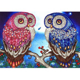 Owl Cute 5d Special Diamond Shaped Edge Painting