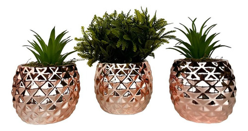 Conjunto De Vasos Rose Gold Com Suculenta