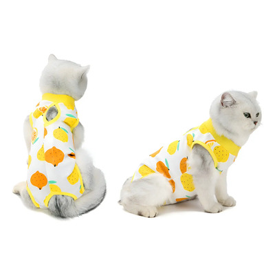 Faja Postoperatoria Para Gato Esterilizada Chaleco Ajustable