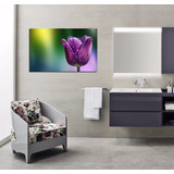 Vinilo Decorativo 50x75cm Tulipan Violeta Minimalista