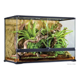 Large X-tall Terrarium