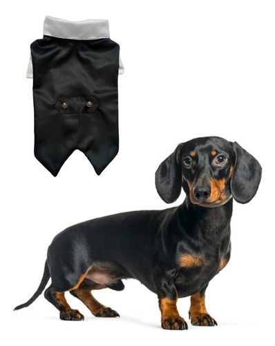 Smoking Traje Ropa Para Perros Mascotas Dachshund