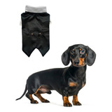 Smoking Traje Ropa Para Perros Mascotas Dachshund