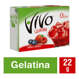 Vivo Gelatina Berries 22 Grs