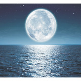 Papel De Parede Lua Céu Luar Paisagem Noite Adesivo Gg493