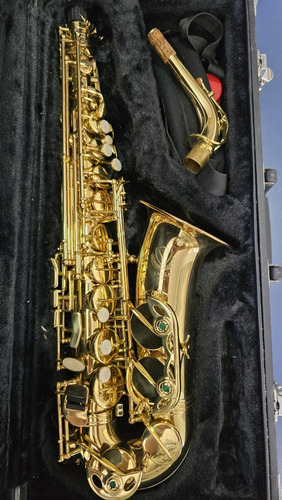 Saxofone Alto Sa501