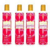 Kit 4 Nekane Shampoo Colora  Post-tinte 300g