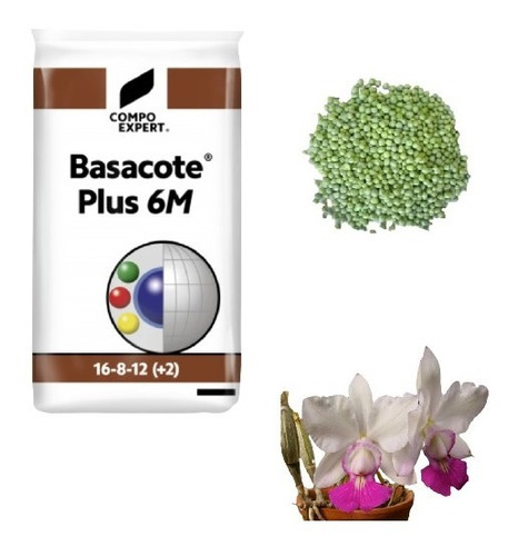 Fertilizante Basacote Plus 6m - 500g -  Adubo Orquídeas