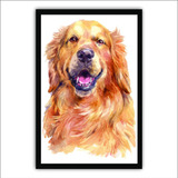 Quadro Decorativo Moldura De Madeira 60x40 Golden Retriever