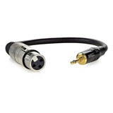 Cabo Xlr Para P2 Áudio Profissional Mono Com 2 Metros