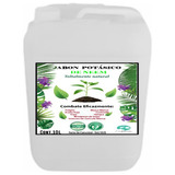 Jabon Potasico De Neem 10 Litros Liquido 100 % Natural 