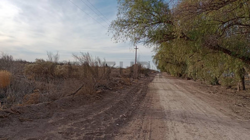 Venta Finca Monte Caseros San Martin. Mendoza