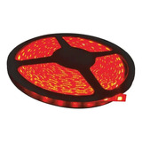 Tira Cinta Led 12v 5mts Interior Smd Rojo 5050 