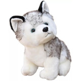 Husky Siberiano - Malamute Peluche Pareja Novios Amor 02