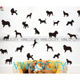 Vinil Decorativo Consultorio Veterinaria Perros 50 Pzs