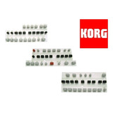 Botões P/ Teclado Korg Pa600 3 Kits Botões Completo Original