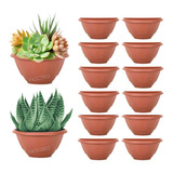 Kit 12 Vasos De Parede Mini Jardim Vertical Horta Terracota