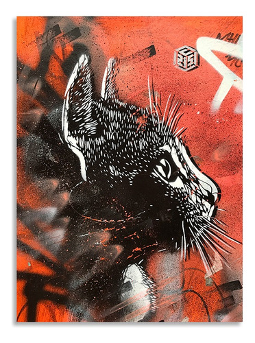 Cuadro Decorativo En Mdf De 50 *35 Gato Graffiti 