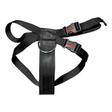 Cinturón De Seguridad Para Mascota Mikels Cisma Color Negro