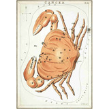 Lienzo Tela Canvas Constelación Cáncer 1825 50x72 Astronomía