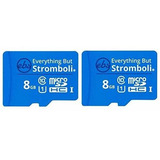 Tarjeta De Memoria Micro Sd Everything But Stromboli De 8 Gb