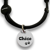 Placa De Identificação Pet Cão Gato C/ Coleira Personalizada