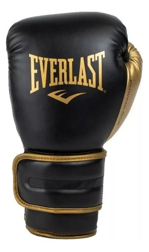 Guantes De Boxeo Everlast Powerlock Con Funda Box Kick Muay