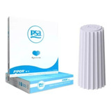 Filtro Fipor Repuesto Psa X8 Unidades Senior Original Blanco