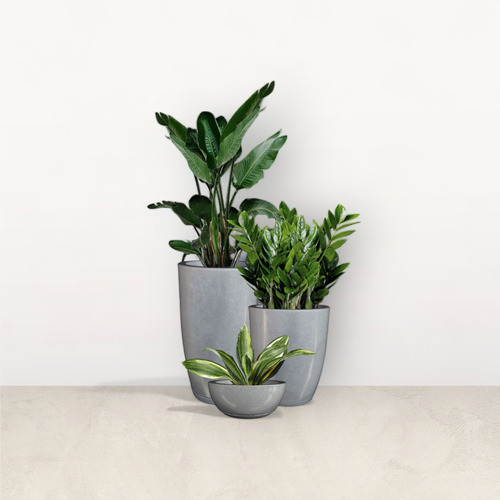 Trio Vasos Lisos Estilo Vietnamita P/ Plantas Casas Jardins