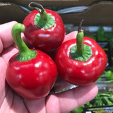 25 Semillas Chile Red Cherry Pepper Exotico Picante