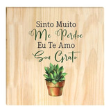 Quadro De Pinus Decorativo Sinto Muito 20x20